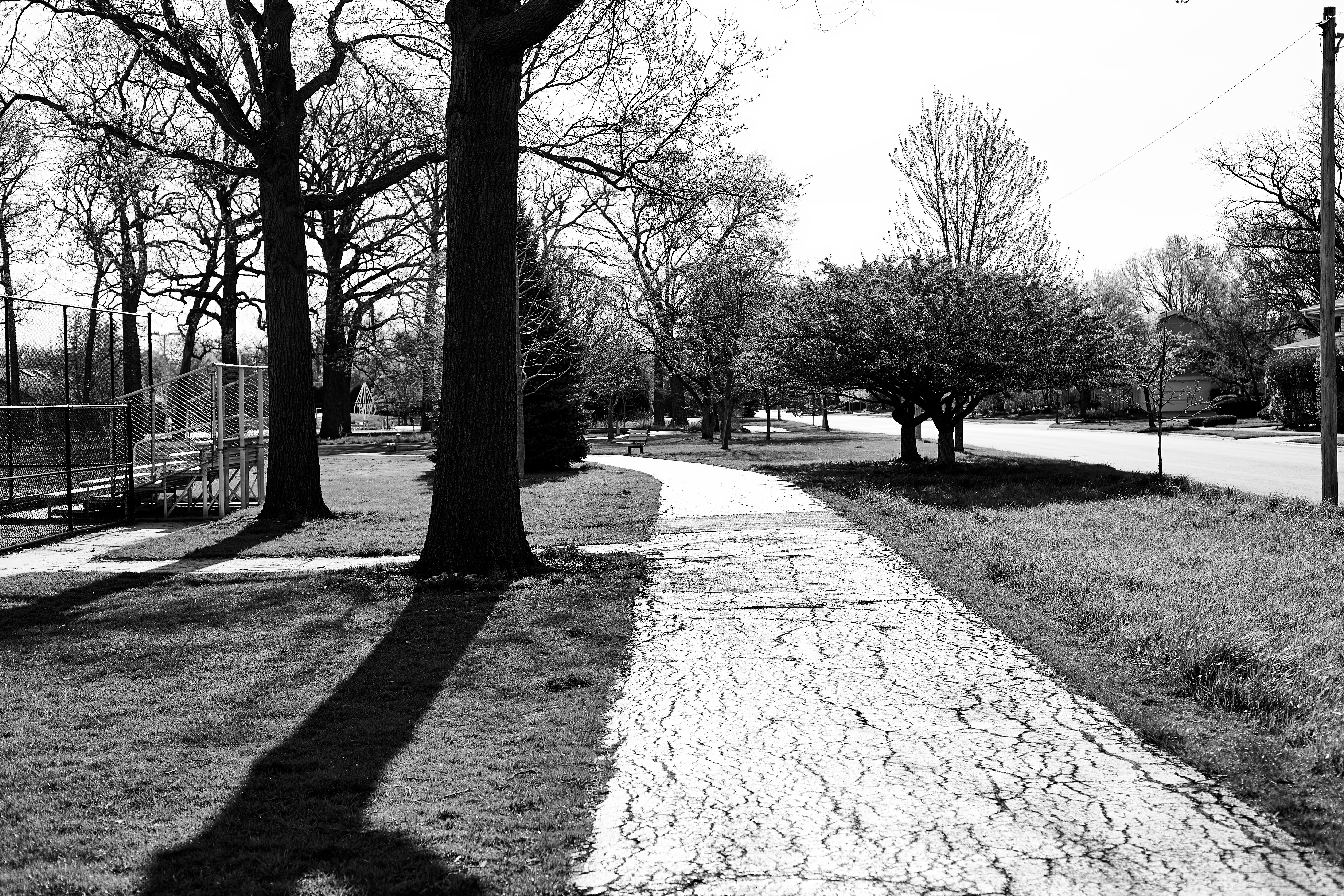 permitted walk