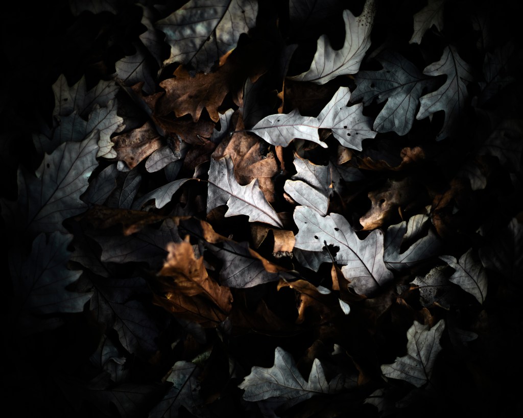 Breathing in Calm, Breathing out Ease: Insights from Thich Nhat Hanh’s Mindfulness Meditation