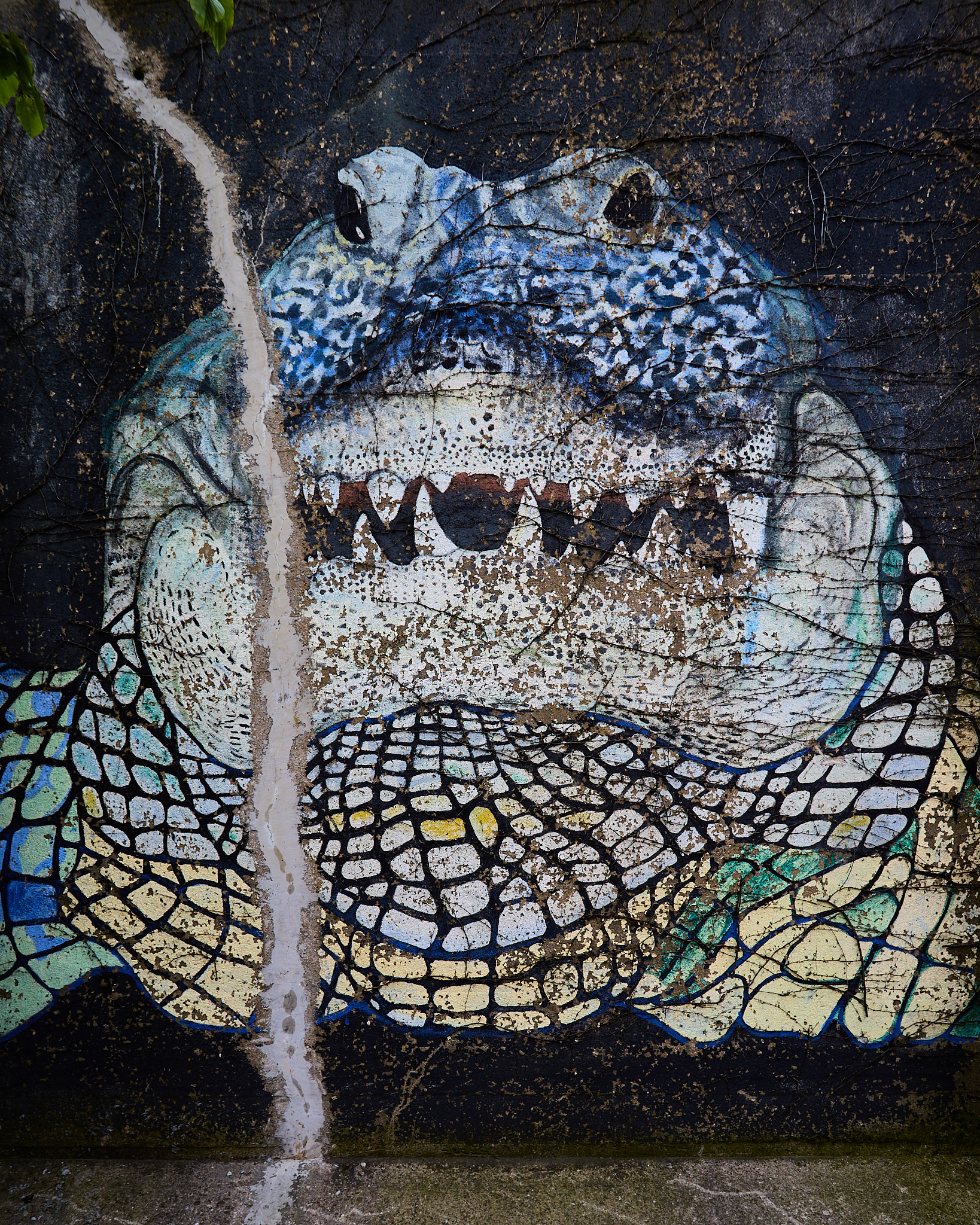 reptile