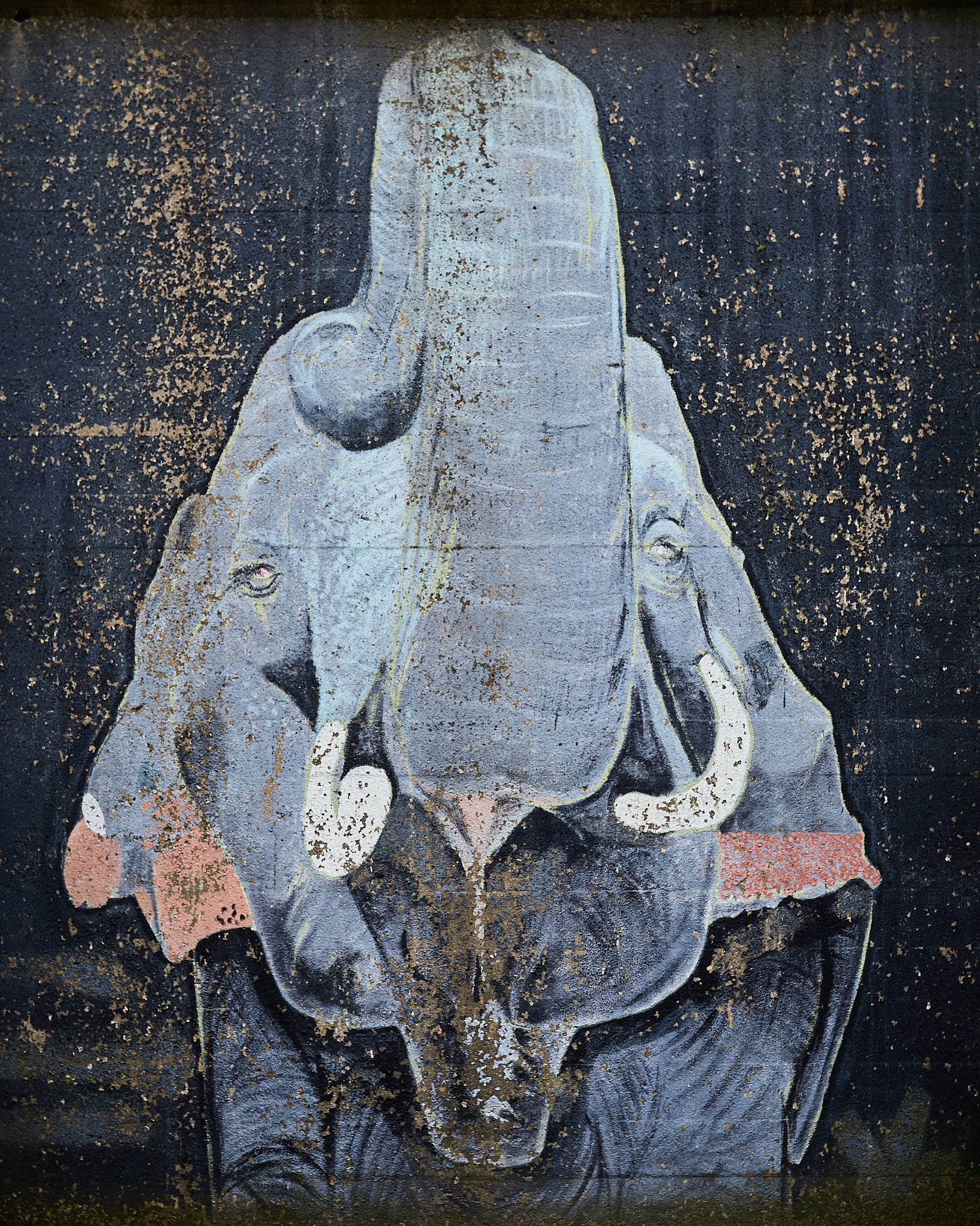 elephant
