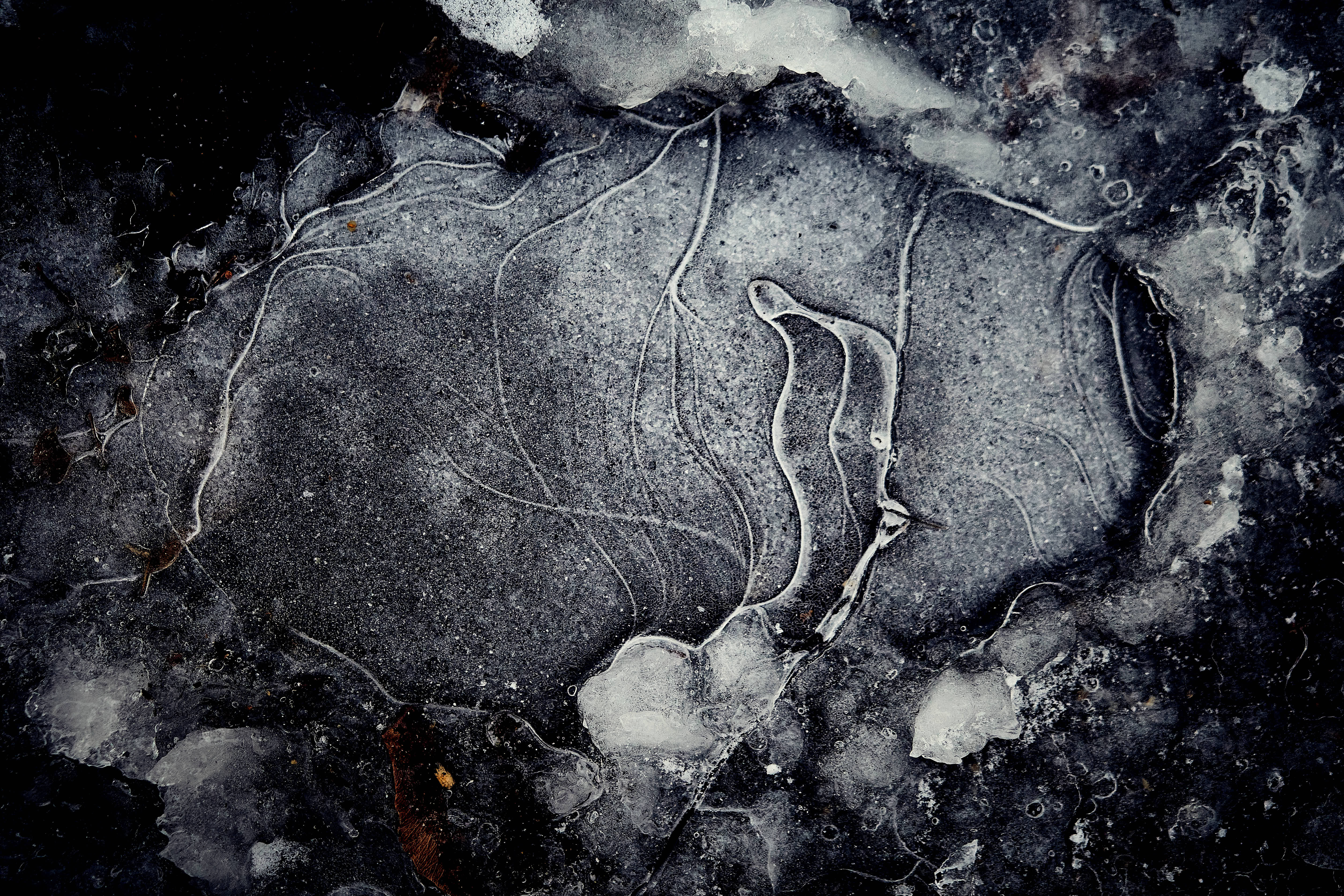 frozen puddle