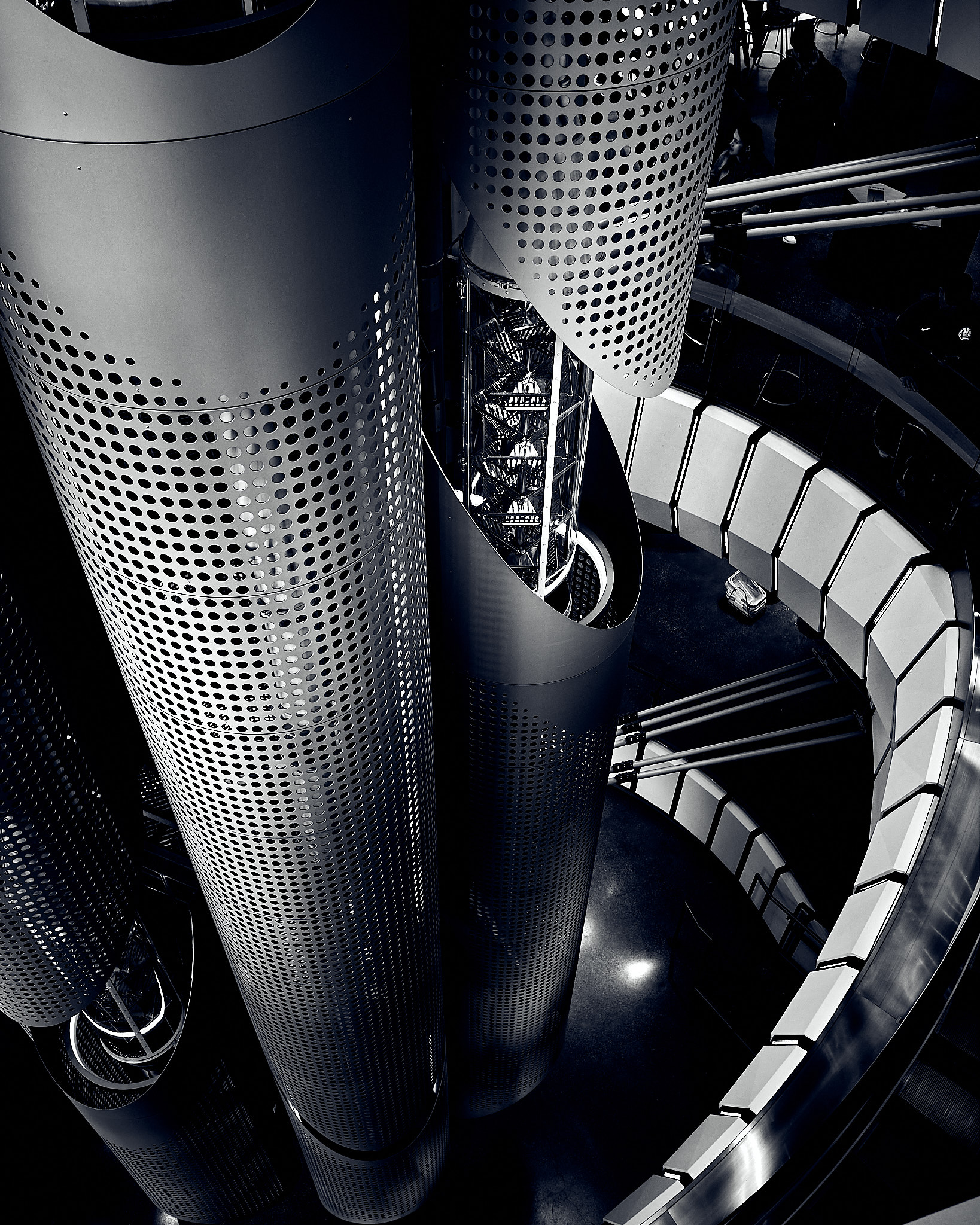 The tubular structures seen from above